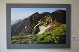 高山の花咲く間ノ岳（あいのだけ）