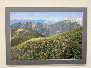 早秋の稜線 仙丈小屋