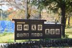 ゆりの木並木の紅葉（信州大学農学部入口）